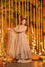 Opulent Multi Embroidery Work Gown